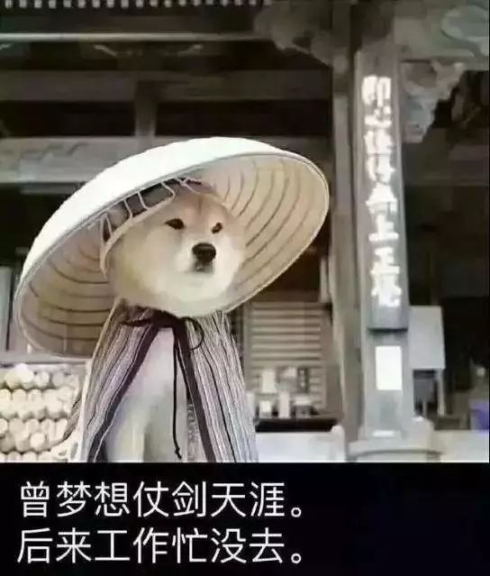 曾梦想仗剑走天涯