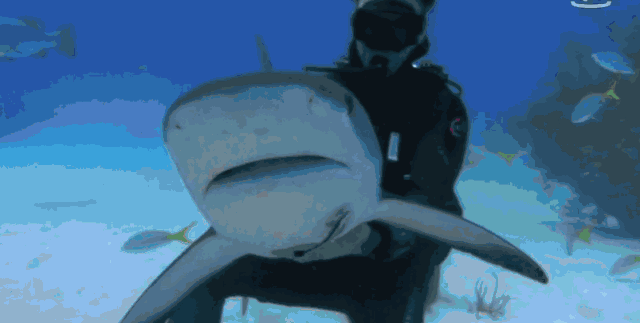 微信图片_20200909163134.gif