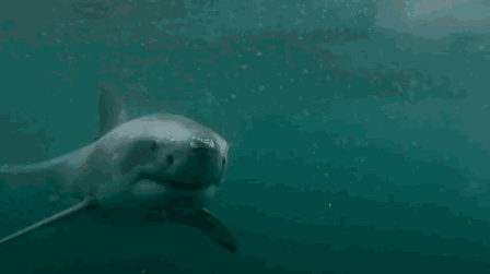 微信图片_20200909163145.gif