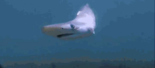 微信图片_20200909163329.gif