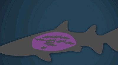 微信图片_20200909163430.gif