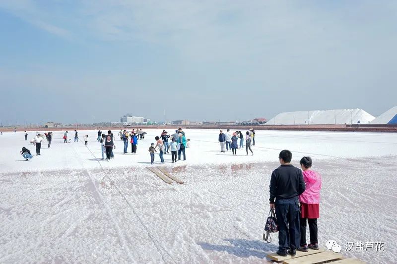 天津长芦汉沽盐场"盐业风情游"启动引多家媒体采访报道