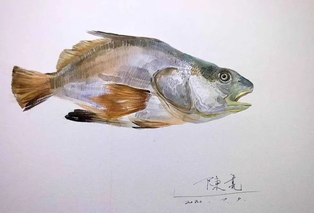 线上展滨海新区水彩画学会作品展二