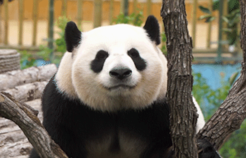 微信截图_20210526104112.png